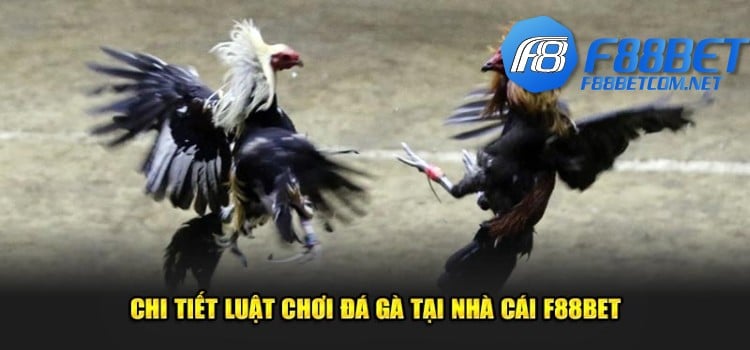 Chi tiết luật thi đấu bộ môn tại nhà cái F88BET