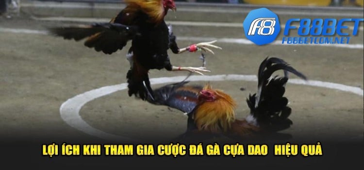 Lợi ích khi tham gia cược đá gà cựa dao hiệu quả