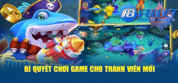 Bí quyết chơi game cho thành viên mới săn quà mang tiền thưởng về