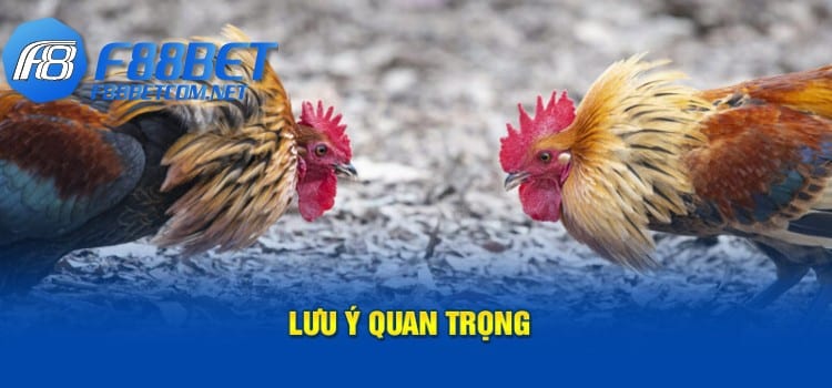 Lưu ý quan trọng 